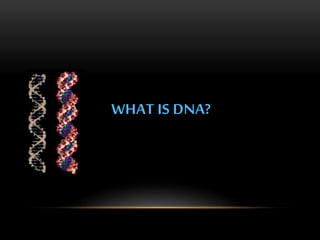 WHAT IS DNA? 
 
