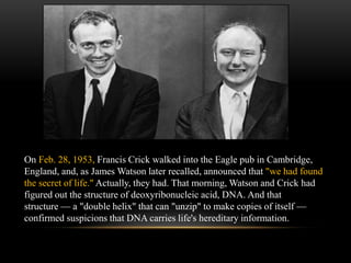 On Feb. 28, 1953, Francis Crick walked into the Eagle pub in Cambridge, 
England, and, as James Watson later recalled, ann...