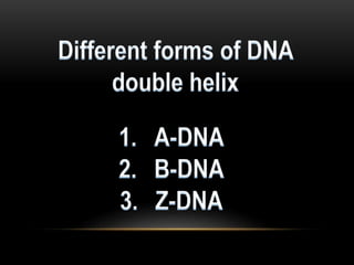 Structure 
• A-DNA is fairly similar to B-DNA. 
• Slight increase in the number of bp/ rotation (resulting in a 
tighter r...