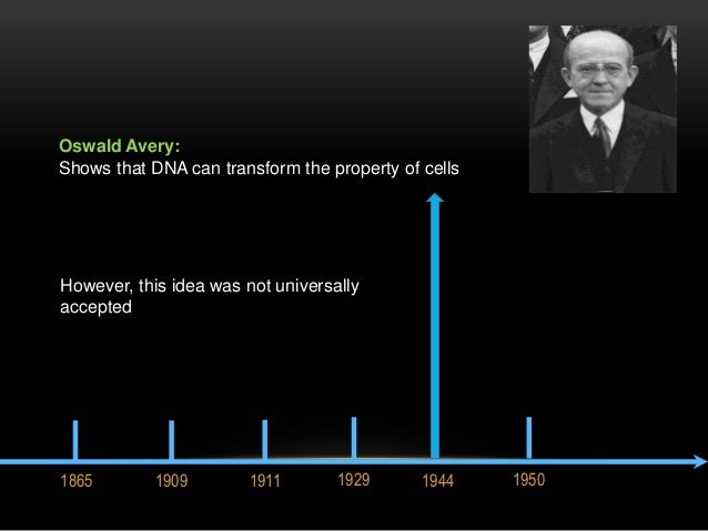 A complete PPT on DNA