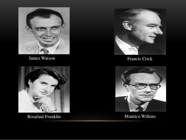 9 james watson francis crick