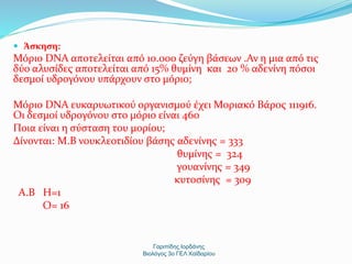  Άσκηση: 
Μόριο DNA αποτελείται από 10.000 ζεύγη βάσεων .Αν η μια από τις 
δύο αλυσίδες αποτελείται από 15% θυμίνη και 20...