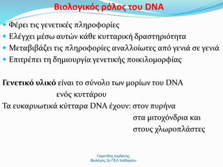 Βιολογικός ρόλος του DNA 
 Φέρει τις γενετικές πληροφορίες 
 Ελέγχει μέσω αυτών κάθε κυτταρική δραστηριότητα 
 Μεταβιβάζει τις πληροφορίες αναλλοίωτες από γενιά σε γενιά 
 Επιτρέπει τη δημιουργία γενετικής ποικιλομορφίας 
Γενετικό υλικό είναι το σύνολο των μορίων του DNA 
ενός κυττάρου 
Τα ευκαρυωτικά κύτταρα DNA έχουν: στον πυρήνα 
Γαριπίδης Ιορδάνης 
στα μιτοχόνδρια και 
στους χλωροπλάστες 
Βιολόγος 3ο ΓΕΛ Χαϊδαρίου 
