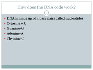 How does the DNA code work?
 DNA is made up of 4 base pairs called nucleotides
 Cytosine – C
 Guanine-G
 Adenine-A
 Thymine-T
 