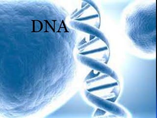 DNA
 