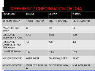 DIFFERENT FORMS OF DNA
 