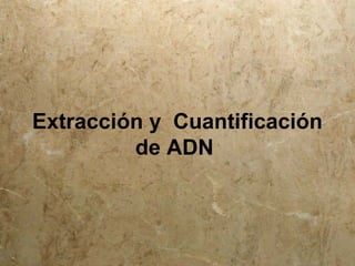 Extracción y Cuantificación
de ADN
 