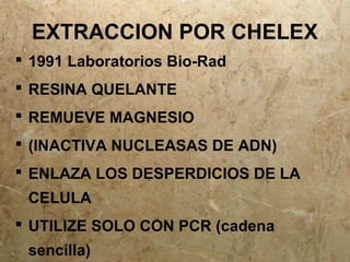 cuantificacion de DNA | PPT