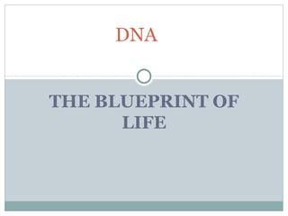 THE BLUEPRINT OF
LIFE
DNA
 