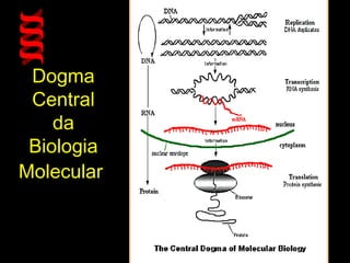 Dogma
Central
da
Biologia
Molecular
 