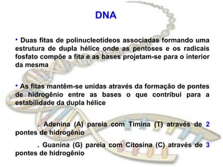 DNA
• Duas fitas de polinucleotídeos associadas formando uma
estrutura de dupla hélice onde as pentoses e os radicais
fosfato compõe a fita e as bases projetam-se para o interior
da mesma
• As fitas mantêm-se unidas através da formação de pontes
de hidrogênio entre as bases o que contribui para a
estabilidade da dupla hélice
. Adenina (A) pareia com Timina (T) através de 2
pontes de hidrogênio
. Guanina (G) pareia com Citosina (C) através de 3
pontes de hidrogênio
 