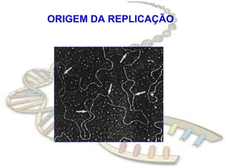 ORIGEM DA REPLICAÇÃO
 