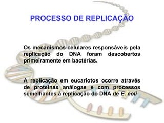 PROCESSO DE REPLICAÇÃO
Os mecanismos celulares responsáveis pela
replicação do DNA foram descobertos
primeiramente em bactérias.
A replicação em eucariotos ocorre através
de proteínas análogas e com processos
semelhantes à replicação do DNA de E. coli
 