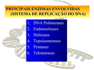 1. DNA Polimerases
2. Endonucleases
3. Helicases
4. Topoisomerases
5. Primases
6. Telomerases
PRINCIPAIS ENZIMAS ENVOLVIDAS
(SISTEMA DE REPLICAÇÃO DO DNA)
 