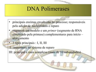 DNA Polimerases
• principais enzimas envolvidas no processo; responsáveis
pela adição de nucleotídeos e reparo
• requerem um modelo e um primer (segmento de RNA
sintetizado pela primase) complementares para início –
alongamento
• 3 tipos principais : I, II, III
I : importante no sistema de reparo
III: principal e mais complexa (mais de 10 subunidades)
 