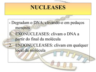 NUCLEASES
- Degradam o DNA, clivando-o em pedaços
menores
1. EXONUCLEASES: clivam o DNA a
partir do final da molécula
2. ENDONUCLEASES: clivam em qualquer
local da molécula
 