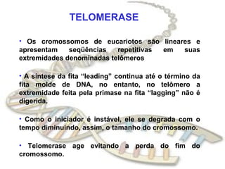 TELOMERASE
• Os cromossomos de eucariotos são lineares e
apresentam seqüências repetitivas em suas
extremidades denominadas telômeros
• A síntese da fita “leading” continua até o término da
fita molde de DNA, no entanto, no telômero a
extremidade feita pela primase na fita “lagging” não é
digerida.
• Como o iniciador é instável, ele se degrada com o
tempo diminuindo, assim, o tamanho do cromossomo.
• Telomerase age evitando a perda do fim do
cromossomo.
 