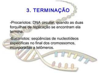 3. TERMINAÇÃO
-Procariotos: DNA circular, quando as duas
forquilhas de replicação se encontram ela
termina.
-Eucariotos: seqüências de nucleotídeos
específicas no final dos cromossomos,
incorporadas a telômeros.
 