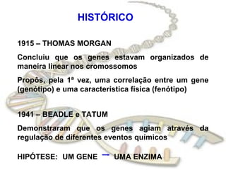 HISTÓRICO
1915 – THOMAS MORGAN
Concluiu que os genes estavam organizados de
maneira linear nos cromossomos
Propôs, pela 1ª vez, uma correlação entre um gene
(genótipo) e uma característica física (fenótipo)
1941 – BEADLE e TATUM
Demonstraram que os genes agiam através da
regulação de diferentes eventos químicos
HIPÓTESE: UM GENE UMA ENZIMA
 