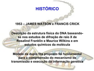 HISTÓRICO
1953 – JAMES WATSON e FRANCIS CRICK
Descrição da estrutura física do DNA baseando-
se nos estudos de difração de raio X de
Rosalind Franklin e Maurice Wilkins e em
estudos químicos da molécula
Modelo da dupla fita proposto foi fundamental
para a compreensão do mecanismo de
transmissão e execução da informação genética
 