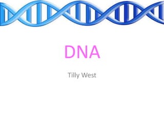 DNA
Tilly West
 
