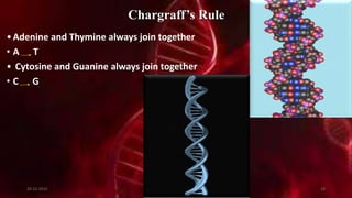 Chargraff’s Rule
•Adenine and Thymine always join together
• A T
• Cytosine and Guanine always join together
• C G
20-12-2015 19
 