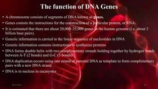 The function of DNA Genes
• A chromosome consists of segments of DNA known as genes.
• Genes contain the instructions for the construction of a particular protein, or RNA.
• It is estimated that there are about 20,000–25,000 genes in the human genome (i.e. about 3
billion base pairs).
• Genetic information is carried in the linear sequence of nucleotides in DNA
• Genetic information contains instructions to synthesize proteins
• DNA forms double helix with two complimentary strands holding together by hydrogen bonds
between A-T (2 bonds) and G-C (3 bonds)
• DNA duplication occurs using one strand of parental DNA as template to form complimentary
pairs with a new DNA strand.
• DNA is in nucleus in eucaryotes
20-12-2015 24
 