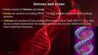 Introns and exons
• Genes consist of introns and exons
• Exons are sections of coding DNA – i.e. they contain instructions for making
proteins.
• Introns are sections of non-coding DNA (once called "junk DNA") – i.e. they
do not contain instructions for making proteins but are now believed to serve
other important functions.
20-12-2015 25
 