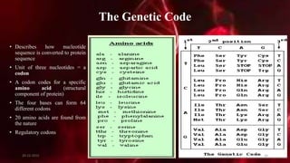 The Genetic Code
• Describes how nucleotide
sequence is converted to protein
sequence
• Unit of three nucleotides = a
codon
• A codon codes for a specific
amino acid (structural
component of protein)
• The four bases can form 64
different codons
• 20 amino acids are found from
the nature
• Regulatory codons
20-12-2015 26
 