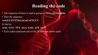 Reading the code
• The sequence of bases is read in groups of three called codons.
• Thus the sequence:
AAGCCGTTTAGAGAGATTCCT
Is read as:
AAG CCG TTT AGA GAG ATT CCT
• Each codon represents one of the 20 different amino acids.
20-12-2015 27
 