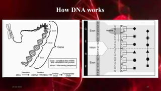 How DNA works
20-12-2015 29
 