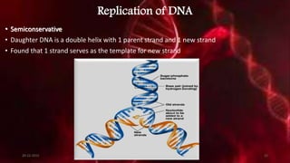 Replication of DNA
• Semiconservative
• Daughter DNA is a double helix with 1 parent strand and 1 new strand
• Found that 1 strand serves as the template for new strand
20-12-2015 31
 