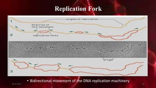 Replication Fork
• Bidirectional movement of the DNA replication machinery
20-12-2015 36
 