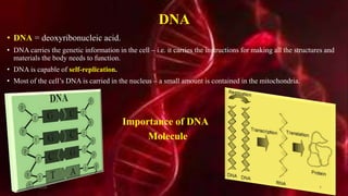 DNA
• DNA = deoxyribonucleic acid.
• DNA carries the genetic information in the cell – i.e. it carries the instructions for making all the structures and
materials the body needs to function.
• DNA is capable of self-replication.
• Most of the cell’s DNA is carried in the nucleus – a small amount is contained in the mitochondria.
•
• Importance of DNA
• Molecule
20-12-2015 4
 