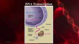 DNA Transcription
20-12-2015 48
 