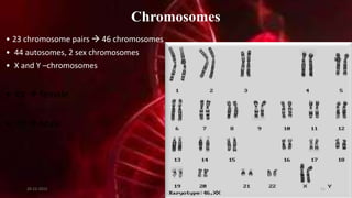 Chromosomes
• 23 chromosome pairs  46 chromosomes
• 44 autosomes, 2 sex chromosomes
• X and Y –chromosomes
• XX  female
• XY  Male
20-12-2015 51
 