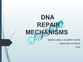 DNA
REPAIR
MECHANISMS
MARÍA CAMILA OCAMPO YEPES
MEDICINE STUDENT
2016
 