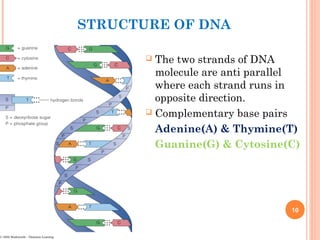 DNA & Bio computer | PPT