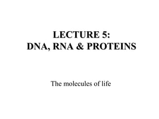 LECTURE 5:LECTURE 5:
DNA, RNA & PROTEINSDNA, RNA & PROTEINS
The molecules of life
 
