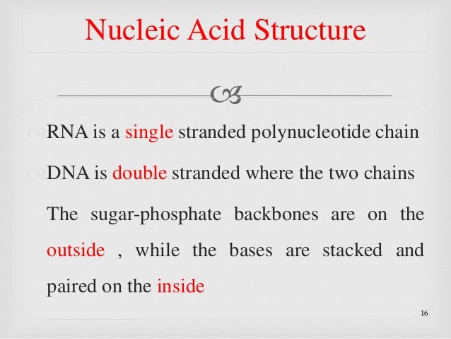 Demonstration Of Protein And Nucleic Acids