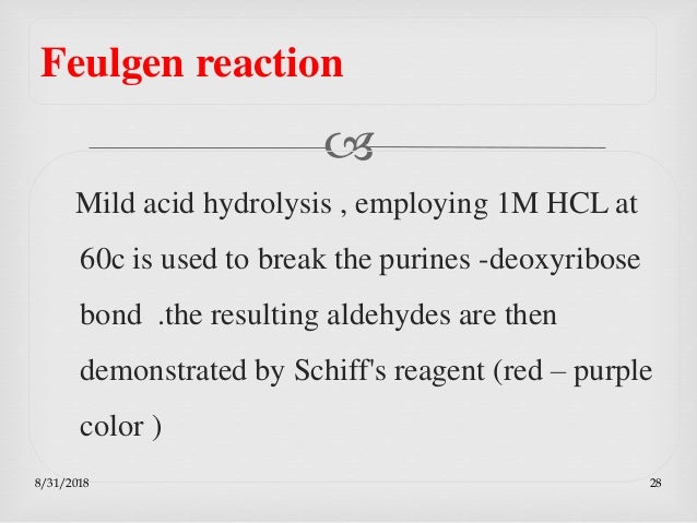 Demonstration Of Protein And Nucleic Acids