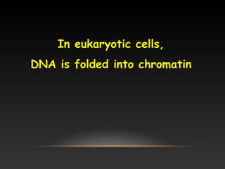 In eukaryotic cells,
DNA is folded into chromatin
 