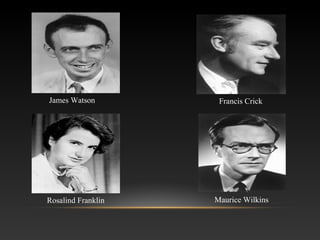 James Watson Francis Crick
Maurice WilkinsRosalind Franklin
 