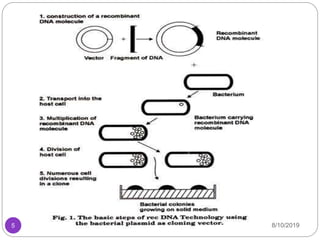 RECOMBINANT DNA TECHNOLOGY | PPTX