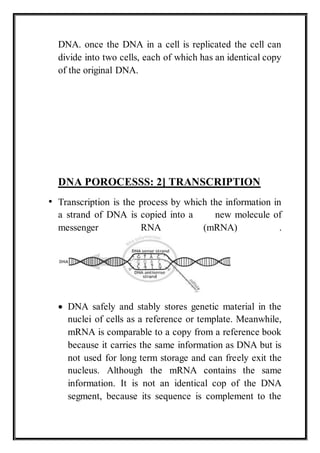 DNA. once the DNA in a cell is replicated the cell can
divide into two cells, each of which has an identical copy
of the o...