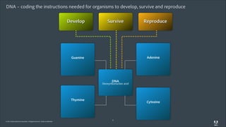 DNA – coding the instructions needed for organisms to develop, survive and reproduce
Develop

Survive

Reproduce

Adenine

Guanine

DNA

Deoxyribonucleic acid

Thymine

© 2011 Adobe Systems Incorporated. All Rights Reserved. Adobe Confidential.

Cytosine

8

 