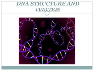 DNA STRUCTURE AND
FUNCTION
 