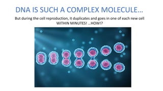 DNA IS SUCH A COMPLEX MOLECULE…
But during the cell reproduction, it duplicates and goes in one of each new cell
WITHIN MINUTES! …HOW!?
 