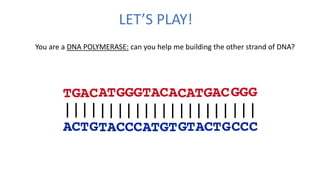 LET’S PLAY!
You are a DNA POLYMERASE: can you help me building the other strand of DNA?
 