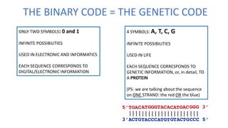 THE BINARY CODE = THE GENETIC CODE
ONLY TWO SYMBOLS: 0 and 1
INFINITE POSSIBILITIES
USED IN ELECTRONIC AND INFORMATICS
EACH SEQUENCE CORRESPONDS TO
DIGITAL/ELECTRONIC INFORMATION
4 SYMBOLS: A, T, C, G
INFINITE POSSIBILITIES
USED IN LIFE
EACH SEQUENCE CORRESPONDS TO
GENETIC INFORMATION, or, in detail, TO
A PROTEIN
(PS: we are talking about the sequence
on ONE STRAND: the red OR the blue)
 